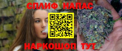 таблы Будённовск