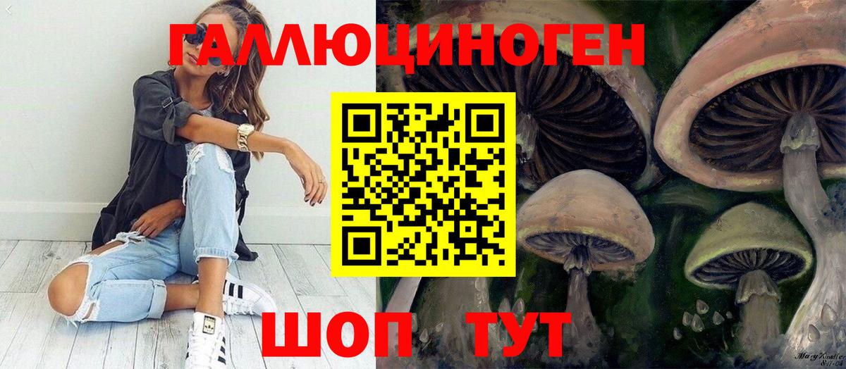 наркота  Вход с VPN  Бийск  Галлюциногенные грибы Cubensis 