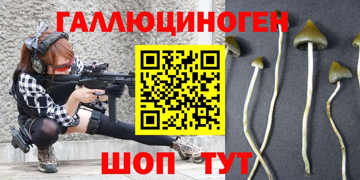 Галлюциногенные грибы мухоморы Бийск